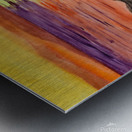 Orange sunset over the ocean Metal print