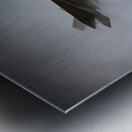 Oceana Air Show F-35 Clouds Metal print