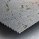 an exquisite and dynamic impasto paintin GbRAvLv4 Metal print