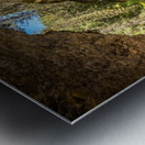 Banff Hidden Treasure Metal print