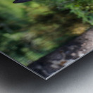 Baby Elk Metal print