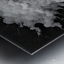 Wild Hair BW Metal print