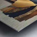 Eye and scraps 3000 Resize Metal print