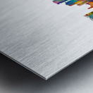 Fort Worth Texas Skyline Metal print