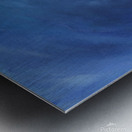 Happy tuxedo cat Metal print