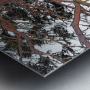 Majestic Pine by Loach Vaa                                                                                                                      Metal print