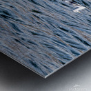 White Pelican with fish in pouch and fin showing Metal print