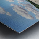 1940s Razorback Stadium Fayetteville Art Metal print