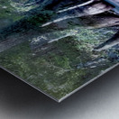 State Park Cypress Trees at Sunrise Metal print