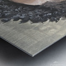 IMG 3054 Metal print