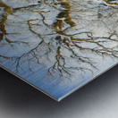 The Mighty Oak Metal print