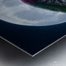 wall art Metal print