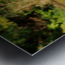 0C5A2812 Wood Ducks Metal print