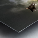 2025 Oceana F-22 Flare Drop Metal print