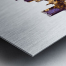 Fort Worth Texas Skyline Metal print