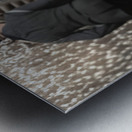 1924 Washington Senators At Bat Metal print