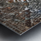 1959 Auburn Tigers Football Photo Art Metal print