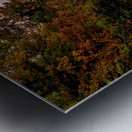 Highway To An Autumn Sunset Metal print