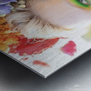 IMG 2414 Metal print