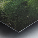 DSC 1235 Metal print