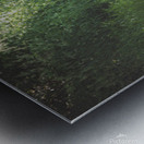 DSC 1187 Metal print