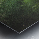 DSC 1170 Metal print