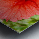 Raindrops Metal print