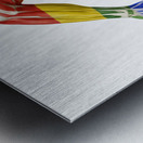 Pride in Motion — Rainbow Runner Anatomy Metal print