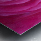 Pink rose spiral Metal print