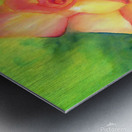 Velvety peachy rose watercolor painting Metal print