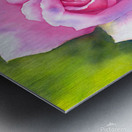 New Years Rose watercolor painting  Metal print