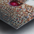 1972 Oklahoma Sooners Football Painting Metal print