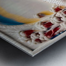  ALBINO 3D GATOR......VELVET ABSTRACT Metal print