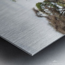 Wildebeest & Warthogs  Metal print