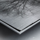 Misty Morn Metal print