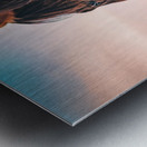 Artistic Horse Hi Res   A3 Metal print