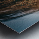 Macro Horse Eye Hi Res   A3 Metal print