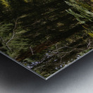 wall art Metal print