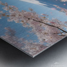 wall art Metal print