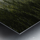 wall art Metal print