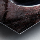 Red Beauty Hi Res   A3 Metal print