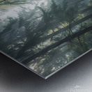 Peaceful Forest Stream – Crystal Clear River Flowing Through a Lush Green Woodland Metal print