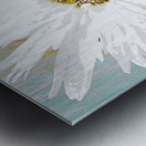 Abstract Daisy Close Up Metal print