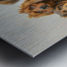 Four Fast Friends Metal print