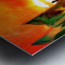 Solar Walk Metal print