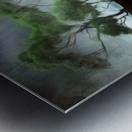 The Austere Lands Metal print