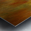 North American Robin portrait Metal print