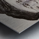 20251009 201505 Yang Yin Yang Metal print