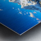 Spring in Alaska Metal print