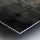 Born Confidence Metal print